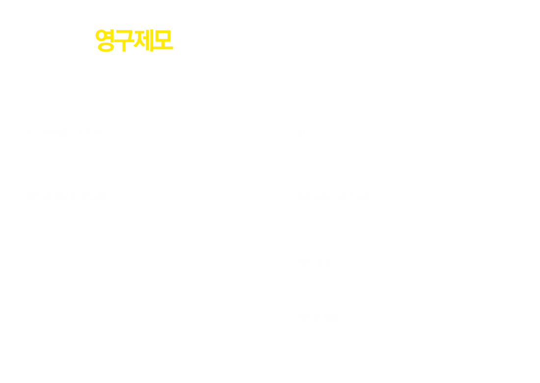 영구제모 VS 일시적인 제모