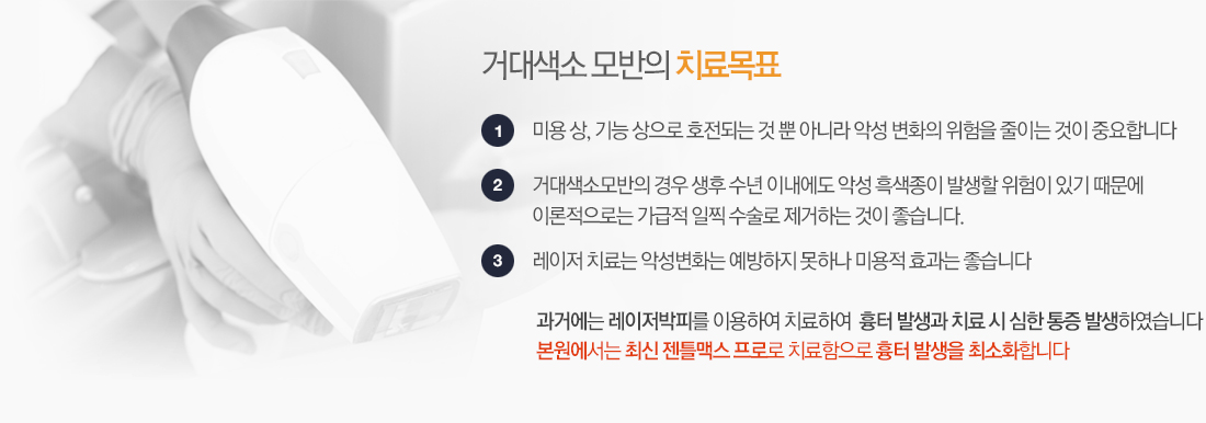 거대색소모반의 치료목표