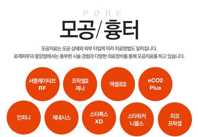 pore 모공/흉터