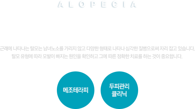 alopecia 탈모